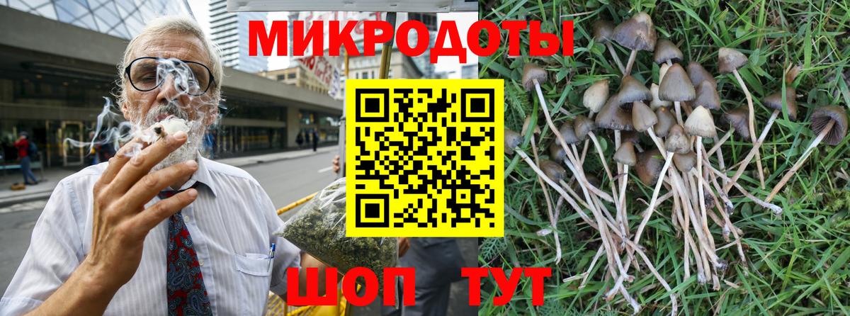 где купить наркоту  Вход с VPN  Грозный  Галлюциногенные грибы мицелий 